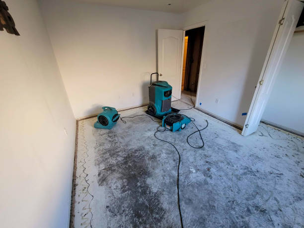 Best Sewage cleanup and water damage restoration  in Homer City, PA